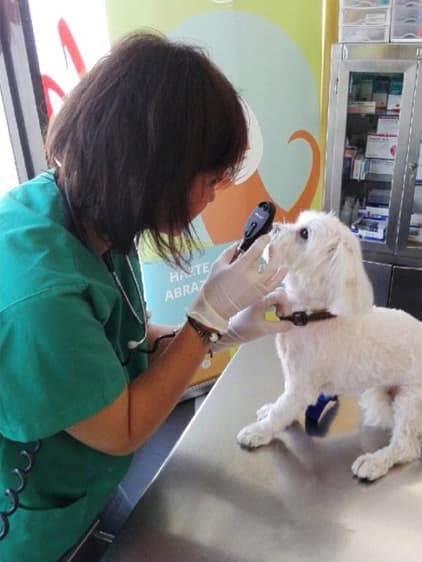 Clínica Veterinaria Santa Cristina