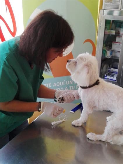 Clínica Veterinaria Santa Cristina