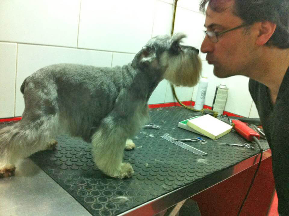 Cuidados y peluquería para mascotas